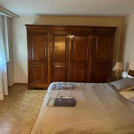 Steps From Basel And Train Spacious 120 M2 In Louis With Terrace And Garden