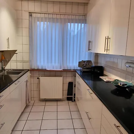 Steps From Basel And Train Spacious 120 M2 In Louis With Terrace And Garden